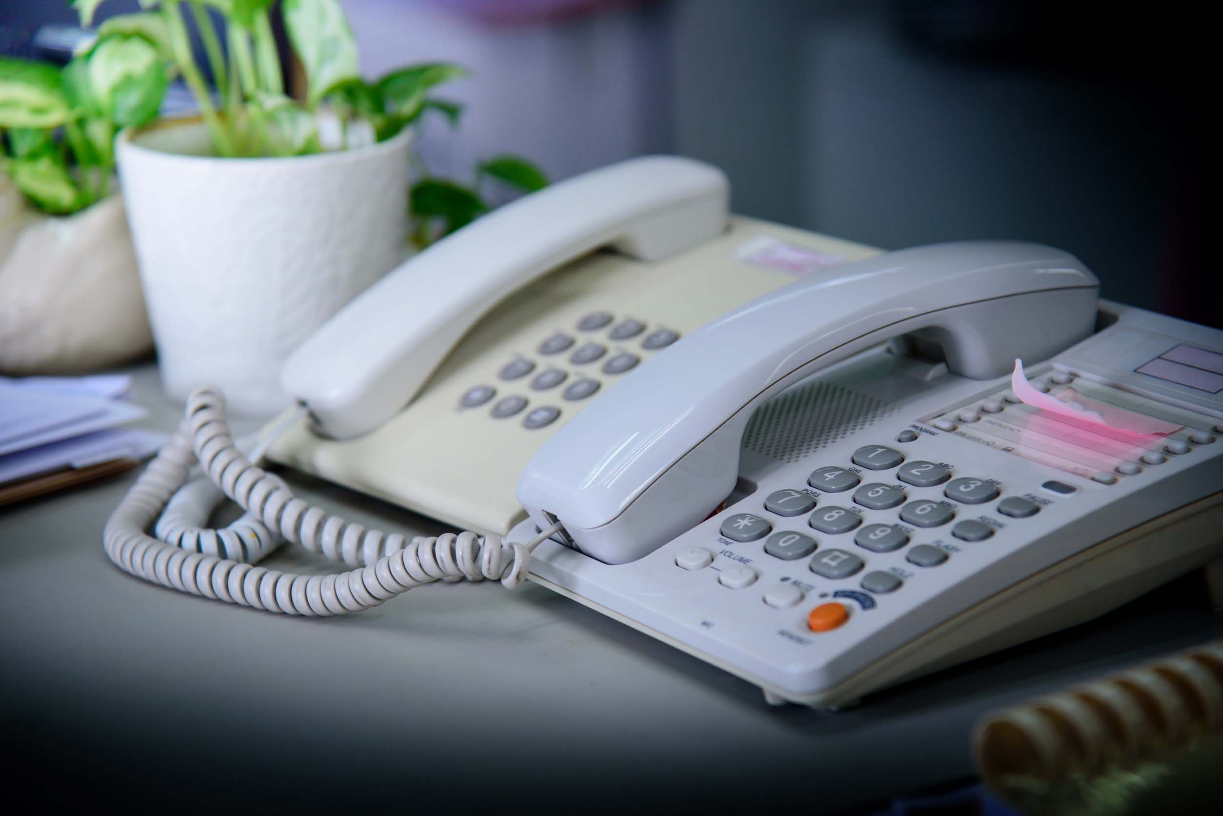 Linea Telefono Fijo